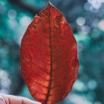 Easy to Read Christian Content Creators
